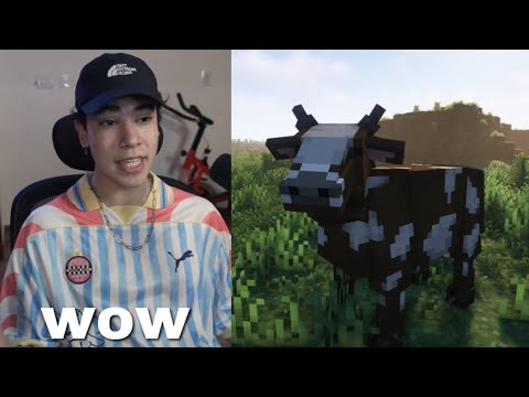 Minecraft BUT more like REAL LIFE