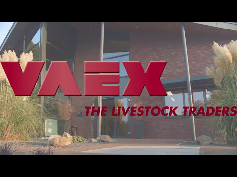 Bedrijfsfilm | VAEX The Livestock Traders