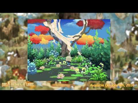 final fantasy the four heroes of light nintendo ds