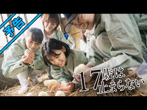映画『17歳は止まらない』予告編