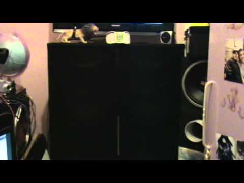 Juice Box .. gorilla zoe ... impianto audio video