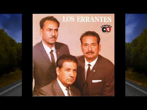 UN PASAJERO EN EL CAMINO - LOS ERRANTES