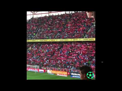 "IMPRESIONANTE: el recibimiento al Toluca en la semifinal vs Tijuana" Barra: La Perra Brava &bull; Club: Toluca
