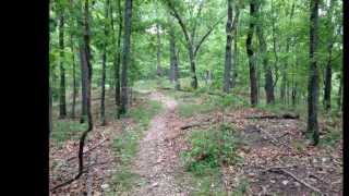 preview picture of video 'Beulah Trail Greensfelder County Park'