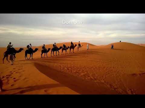 Senza confine, storie di viaggi - di Ugo Fabietti [A8DS]