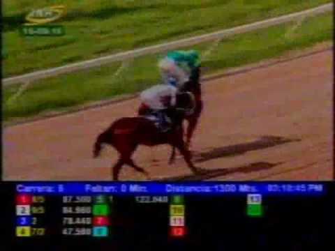 Resumen Viernes, 16 de Septiembre de 2016 - Valencia