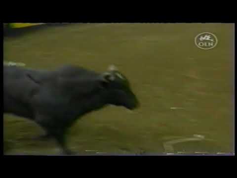 Skip Beeler's Lyin' Eyes - 03 PBR Reno