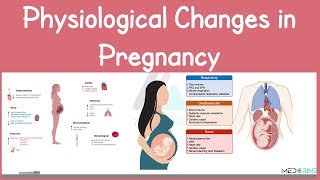 Physiological Changes in Pregnancy | High-Yield Tutorial