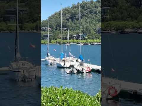 🌊 Hermoso Embarcadero de Pucón | Un rincón imperdible con vista al Volcán Villarrica 🏔️