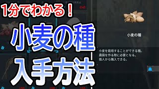 1分でわかる！小麦の種の入手方法【パルワールド・Palworld・攻略・ゆっくり実況・こむぎのたね・役立つ情報】
