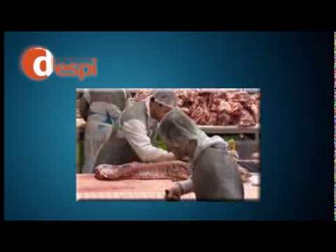 Historique DESPI  80ans