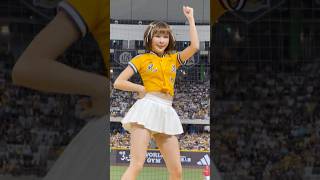 【Passion Sisters】#林可#進取勝利#台湾チアリーディングチーム#中華職棒#CPBL#洲際#20240922（周思齊引退賽）