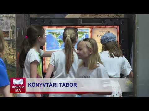 Videó előnézet