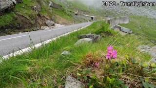 VIDEO FOTO: Se deschide Transfăgărășanul - Noaptea e interzisă circulația 1 video