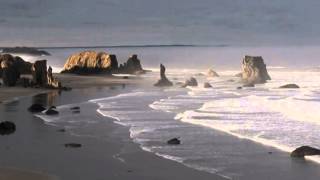 NICHOLAS GUNN - Awakening