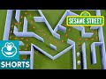 Sesame Street Letter M Is For Maze