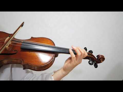 호만3권 232 / 245 hohmann book3
