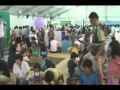 2010 IFEA Festival And Event GEUMSAN SOUTH KOREA