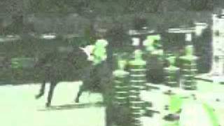 AWESOME EQUESTRIAN VIDEO!!!