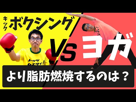 【キックボクシングvsヨガ】動vs静！ダイエット最強はどっち！？のサムネイル
