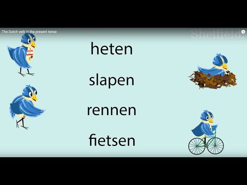 The Dutch verb in the present tense