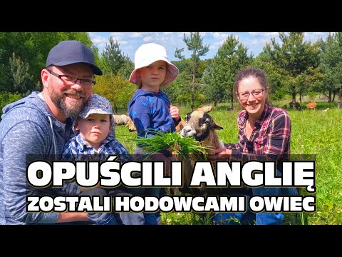 Opuścili Anglię i zostali hodowcami owiec w Polsce - Rolnictwo Regeneratywne - Zuzanna Szmidel