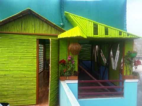 Bamboo roof/terrace green tents