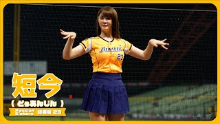 「我們兄弟」短今（Sammie）サミー　Passion Sisters 中信兄弟啦啦隊 CPBL 中華職棒 洲際棒球場 2023/04/12【台湾チアTV】