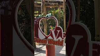 NCL GETAWAY - Day 6 - DOMINICAN REPUBLIC OCEAN WORLD EXCURSION - 2022 #jbcruisin #ncl #cruise