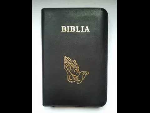 TRINITATEA SUB FOC INCRUCISAT - 3 : PAUL CSAVDARI & MOLDOVAN ARON SI TITU GHEJAN