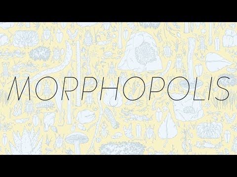 Morphopolis