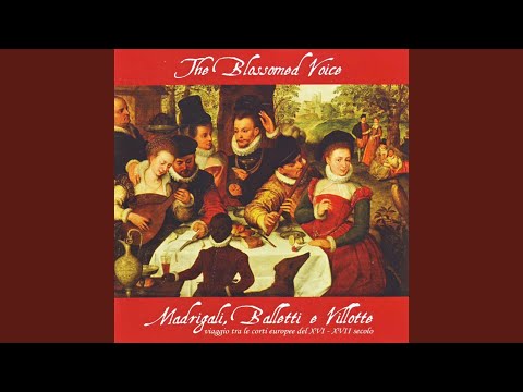 Sempre mi ride sta donna dabbene