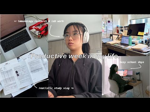 THE MOST productive study days in my life ☕️ | realistic study vlog, medical immunology research