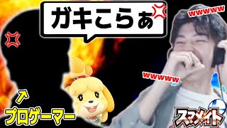 【神回】スマメイトでプロゲーマーを轢いた結果、暴言を吐かれていた件【スマブラSP】