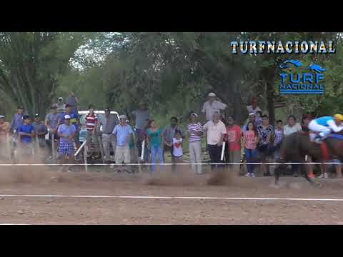 PLUMAS VERDE - PISTA PANGARE DE CRUZ DEL EJE / 9-12-2018