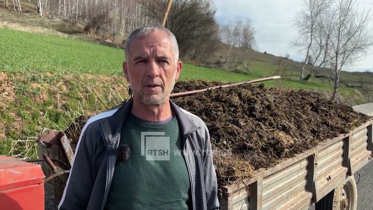 Mbjellja e patates në Kukës, fermerët me kosto shtesë dhe mungesë tregu