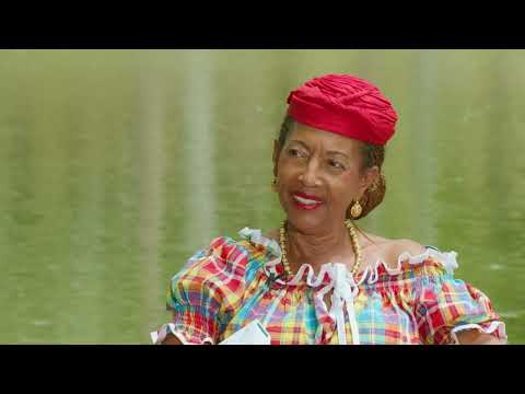Arlette Pujar : la Martinique comme territoire intérieur
