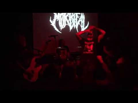 Morbital  - Les, St. Petersburg, Russia 24.06.16