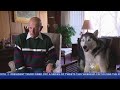 Lost Dog Returns Home After More Than 2 Years