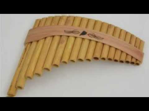 Einsamer Hirte (Supertalent 2011 Final Song) Leo Rojas