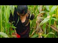 Hot Bhabhi Vlogs Dailyvlog Village Lifestyle New Vlogs