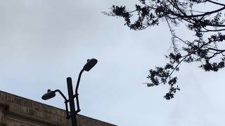 EL MUSEO MÁS ANTIGUO DE AMÉRICA