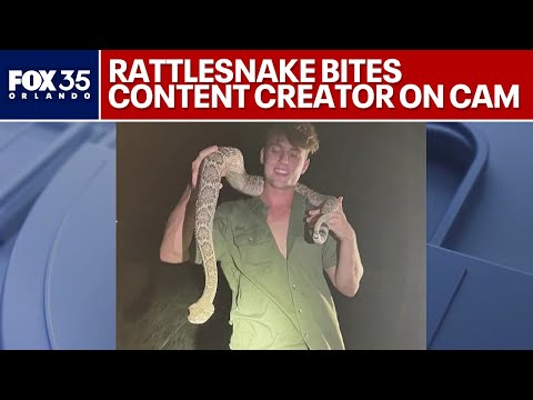 Florida wildlife enthusiast, content creator David Humphlett recovers after rattlesnake bite
