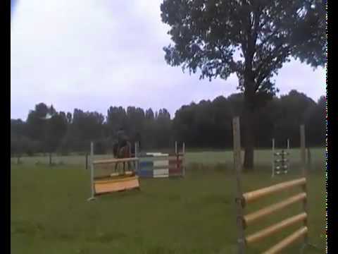 Now or Never-1_1.mp4