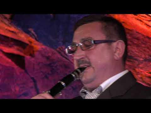 VLASTIMIL NOVÁK - Hej, lásko, nečekej (Goodbye, My Love, Goodbye)