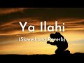 Ya Ilahi | Slowed and Reverb | Ishaq Ayyubi | Lofi