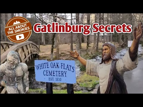 image-What to do in Pigeon Forge Today?