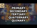5 Economic Sectors Primary Secondary Tertiary Quaternary Quinary