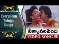 Neek Kavalasindi Evergreen Telugu Songs Major Chadrakanth Movie Mohanbabu Ramyakrishna