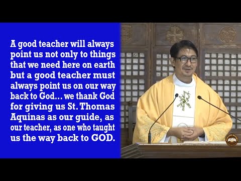 Timeless Wisdom Homily | A Good Teacher | Feast of St. Thomas Aquinas | Fr. Stephen R. Redillas, OP